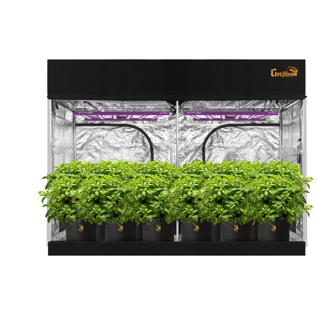 5x9 Soil Grow Tent Kit