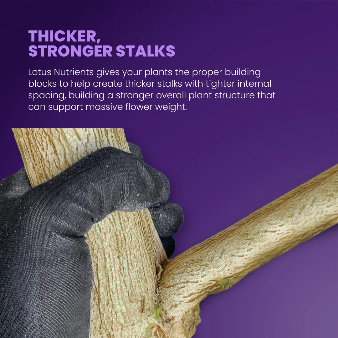 Lotus Nutrients Cal/Mag Pro Series