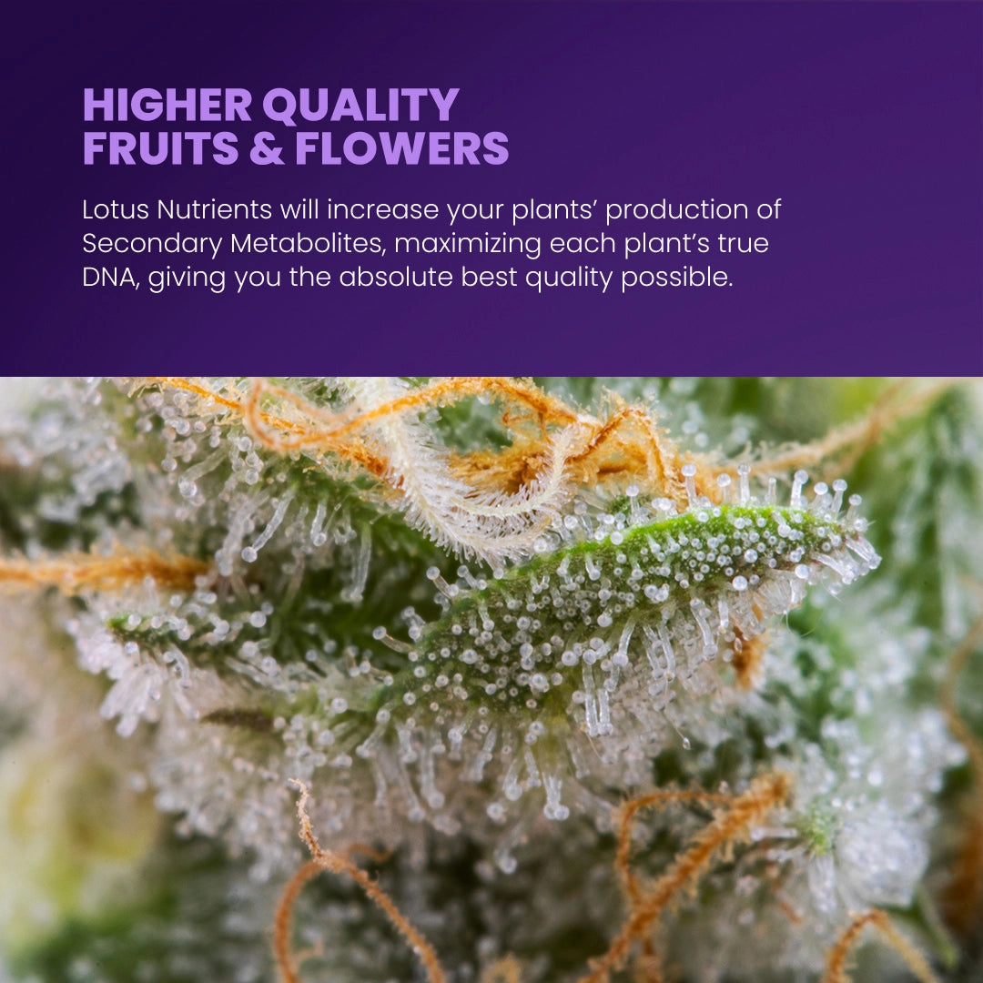 Lotus Nutrients Cal/Mag Pro Series