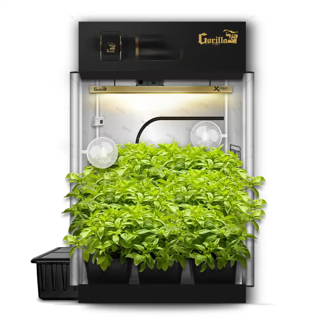 SuperRoom 5'x5' Smart Grow Room - Hydroponic