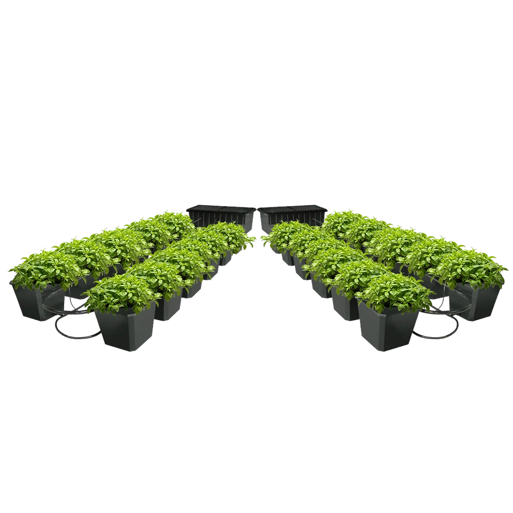 Hydroponic Bucket System - 24 Site Bubble Flow