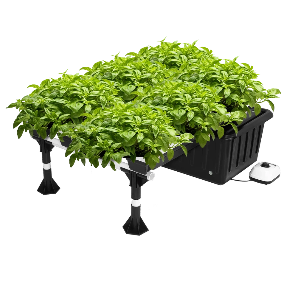 Hydroponic Bucket System - 20 Site Super Flow