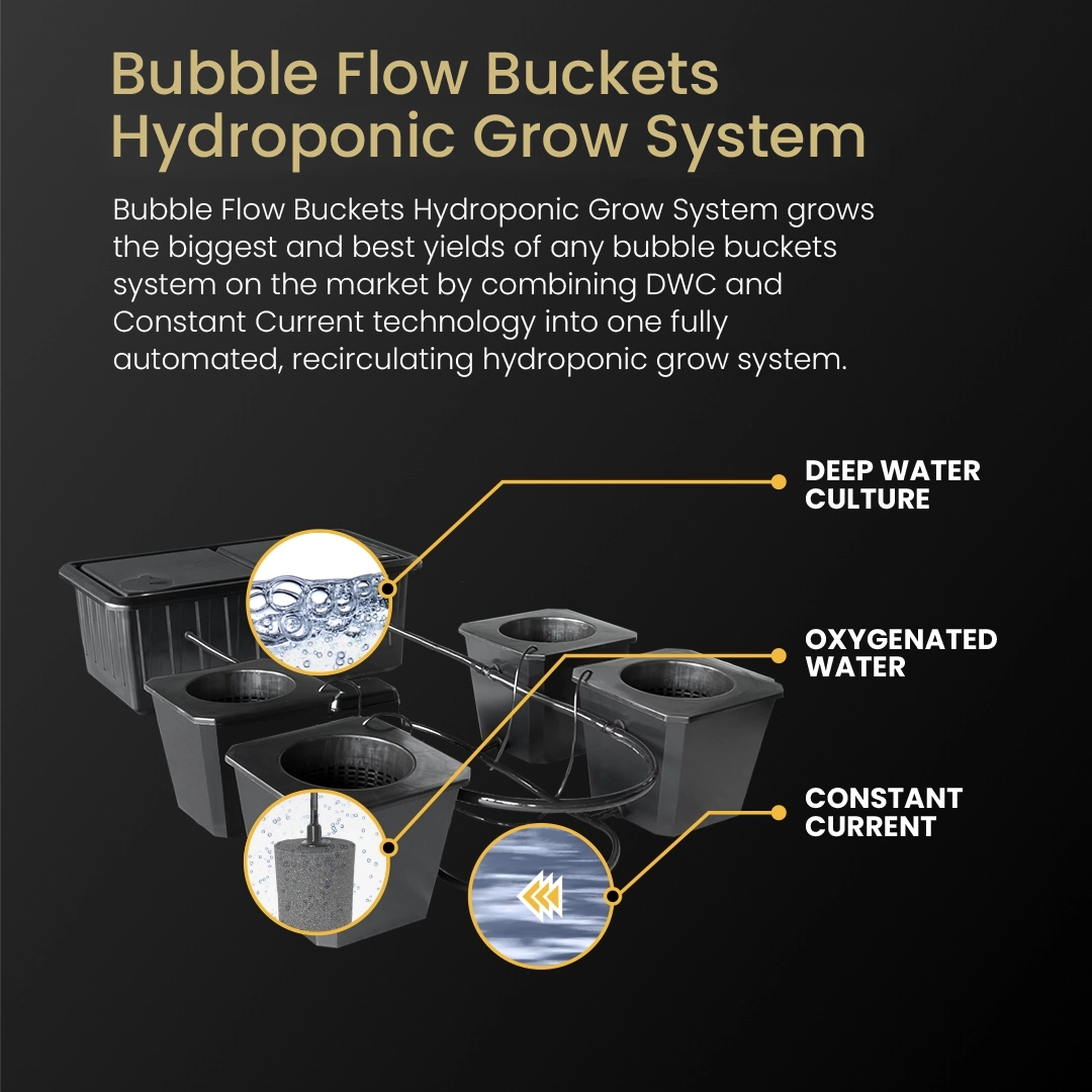 SuperRoom 5'x5' Smart Grow Room - Hydroponic