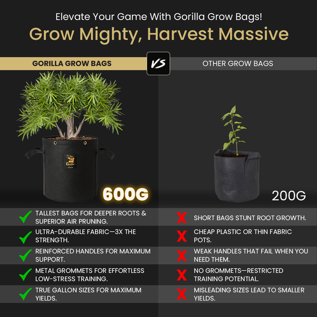 2x2.5 Grow Tent Kit Reg - Soil