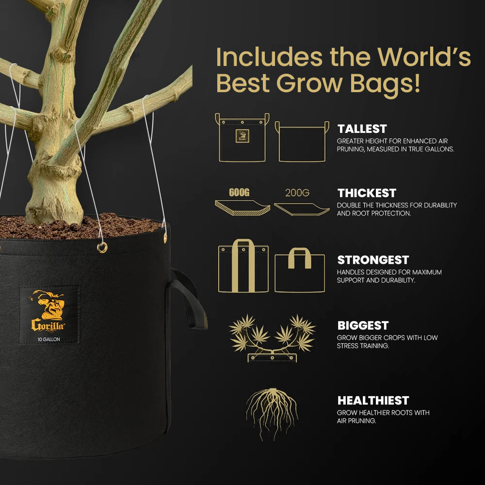 2x2.5 Grow Tent Kit Reg - Soil