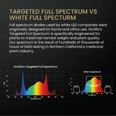 SuperStar Soil Grow Box 24”x 24” x 60”