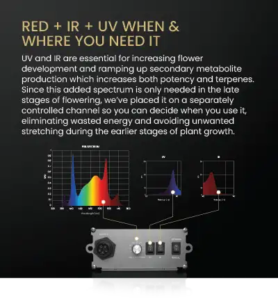 SuperRoom 5'x9' Smart Grow Room - Hydroponic