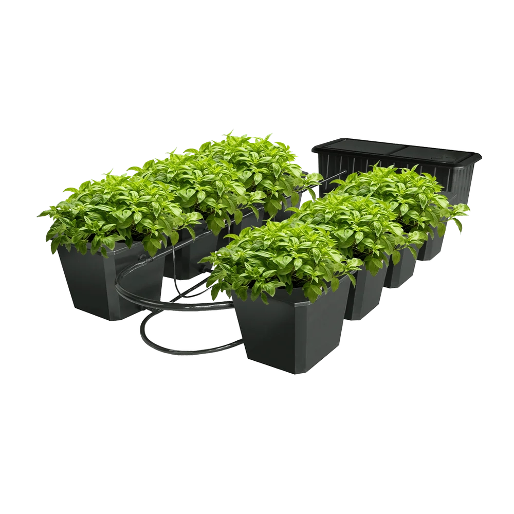 pots for hydroponic plants Buckets for Hydroponics: Grow Plants More Efficiently