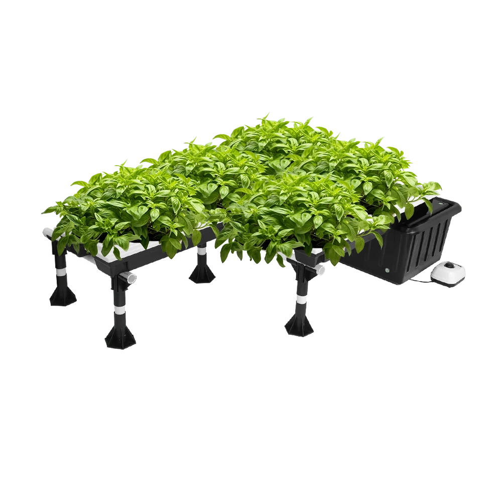 Super Flow Hydroponic System 26-Site