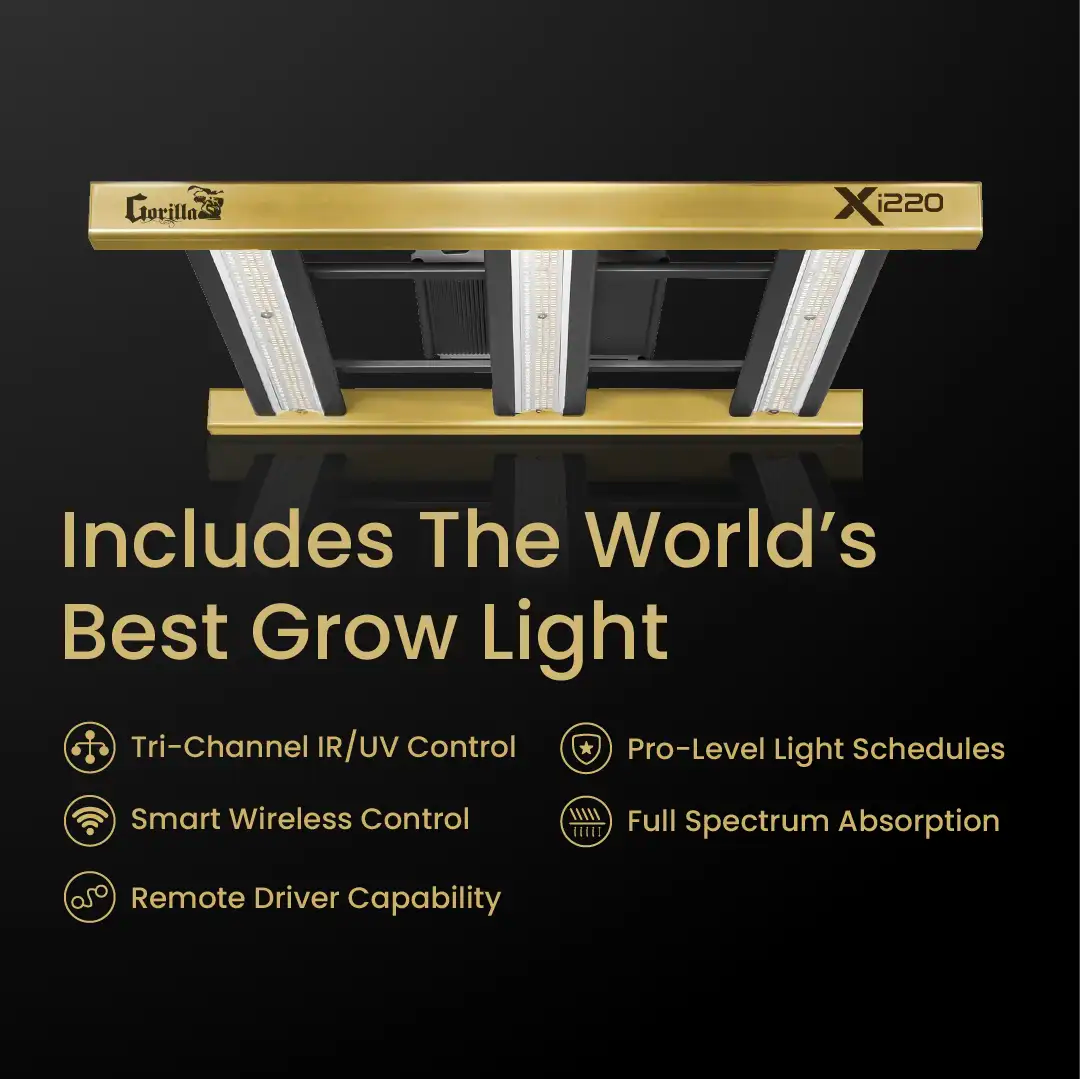 SuperStar Hydroponic Grow Box 24”x 24” x 60”