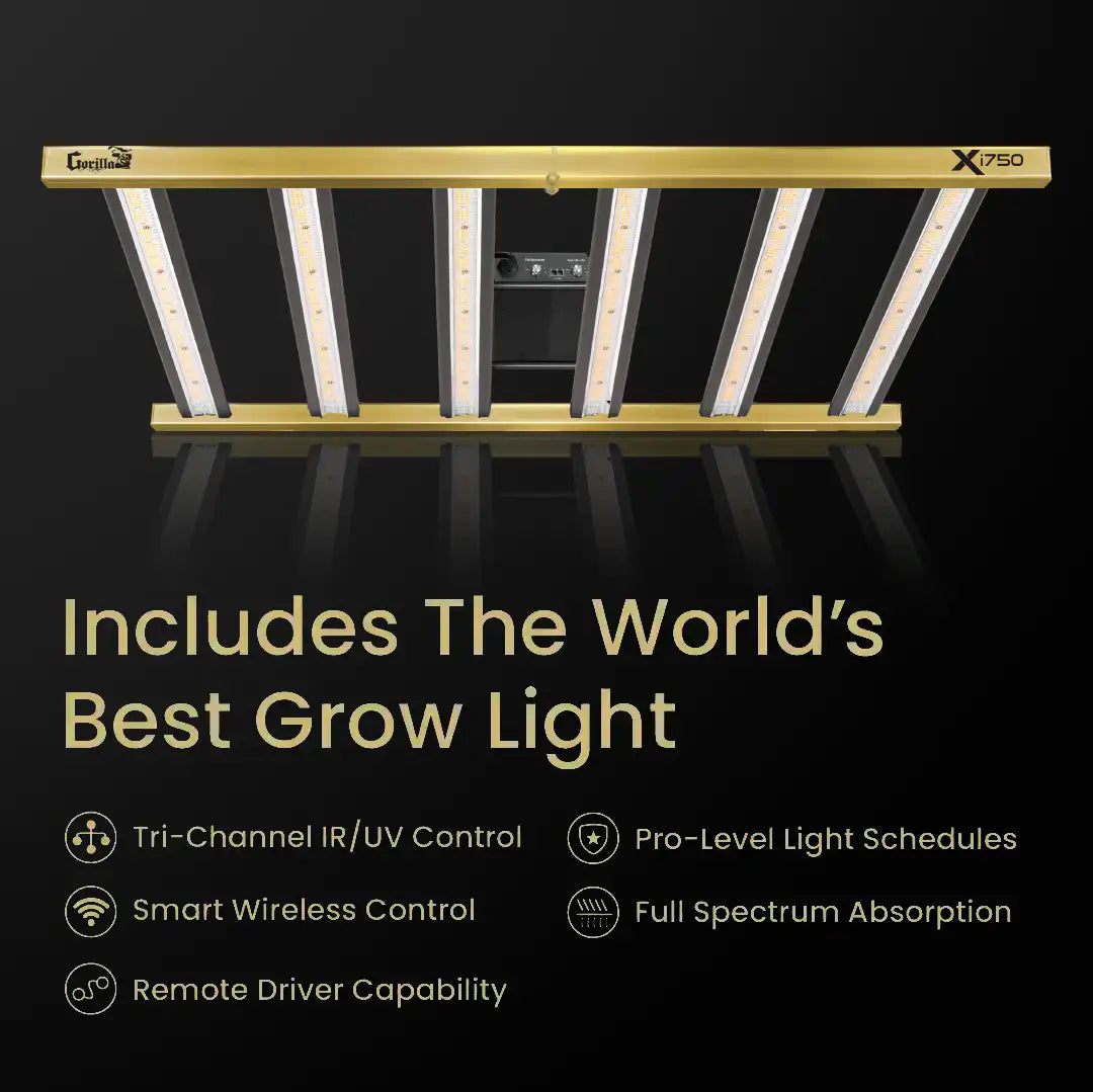 SuperRoom 5'x5' Smart Grow Room - Hydroponic