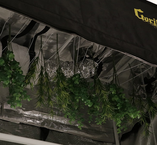 SuperCloset 2'x4' Drying Curing Grow Tent Kit