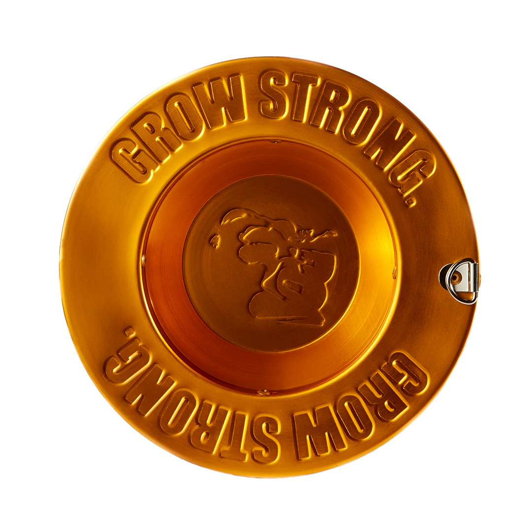 Gorilla Grow Tent 4" Carbon Filter