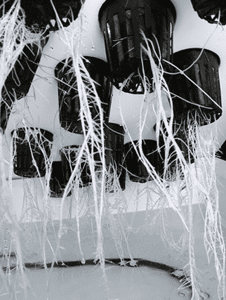 SuperPonics 50-Site SuperCloner Hydroponic Cloning System