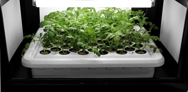 SuperPonics 50-Site SuperCloner Hydroponic Cloning System