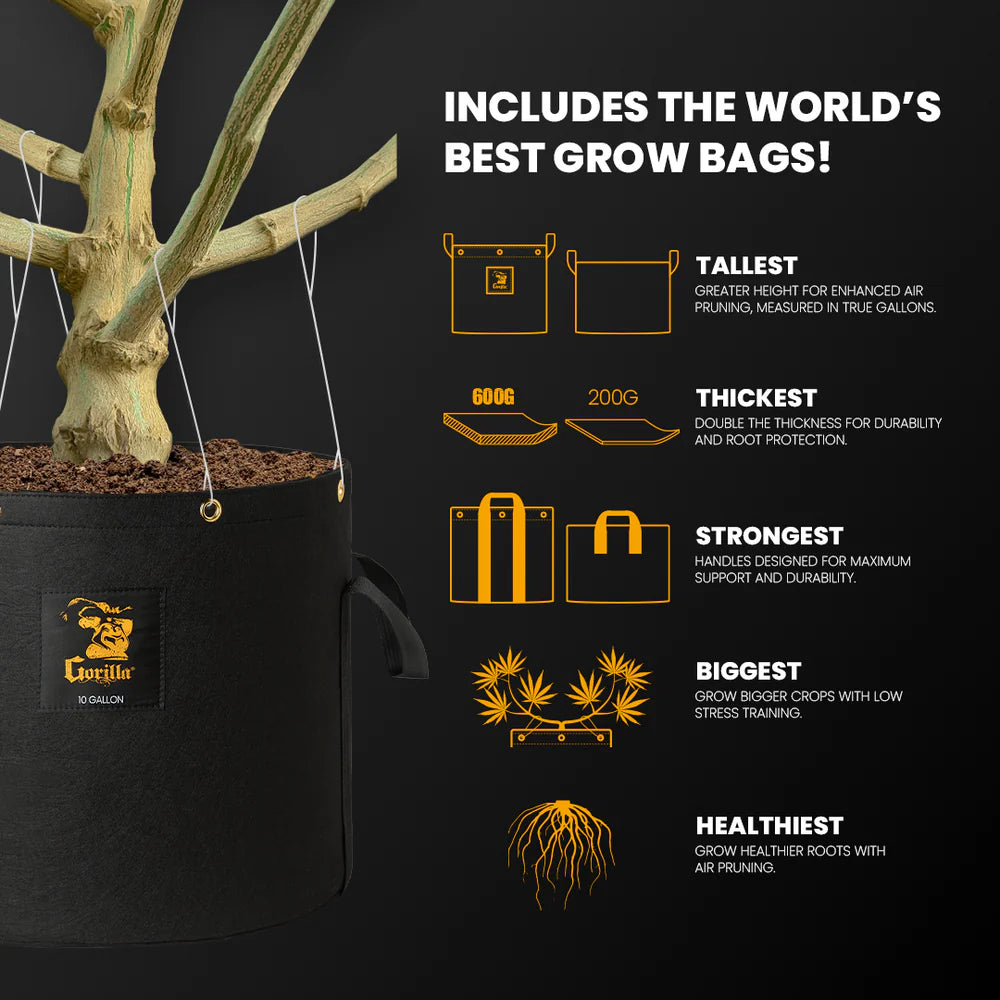 2x2.5 Grow Tent Kit Reg - Soil