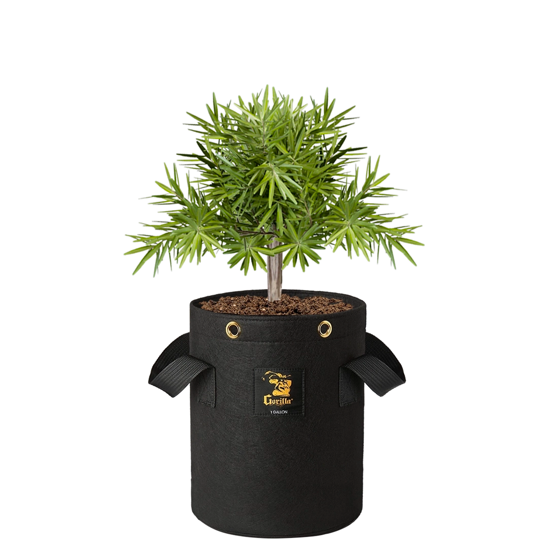 gorilla plant pot Gorilla 1 Gallon Grow Bag (4 Pack)