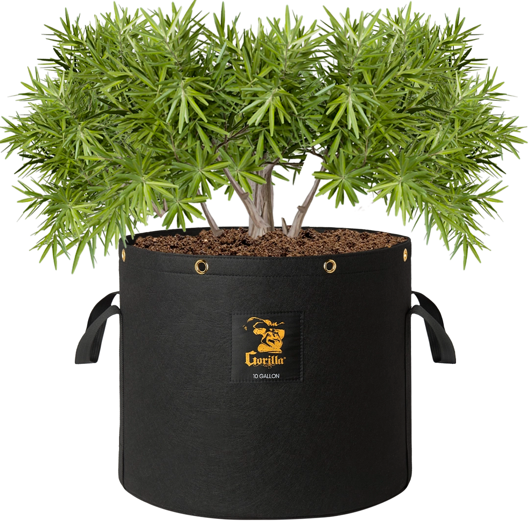 4 gallon plant pot Gorilla 10 Gallon Grow Bags (4 Pack)