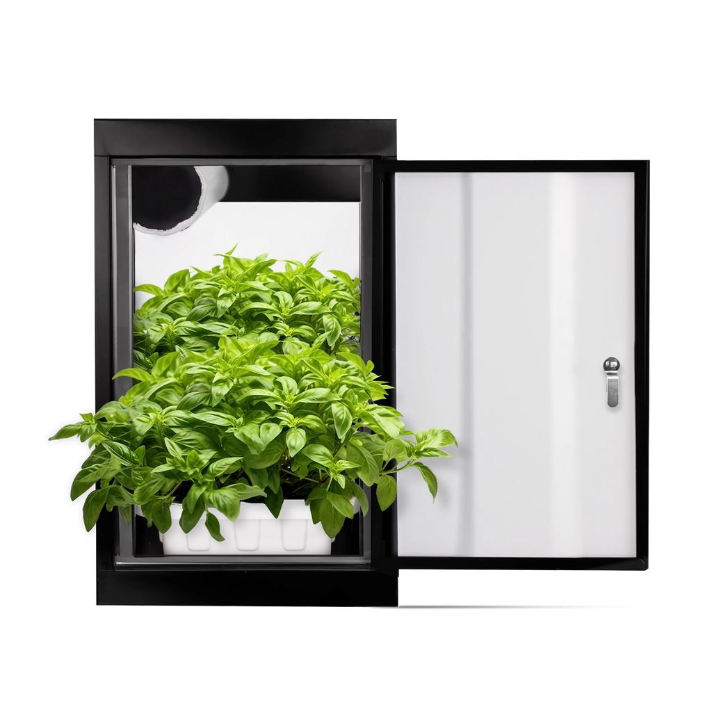 SuperBox LED Hydroponic Grow Box 18” x 24” x 30”