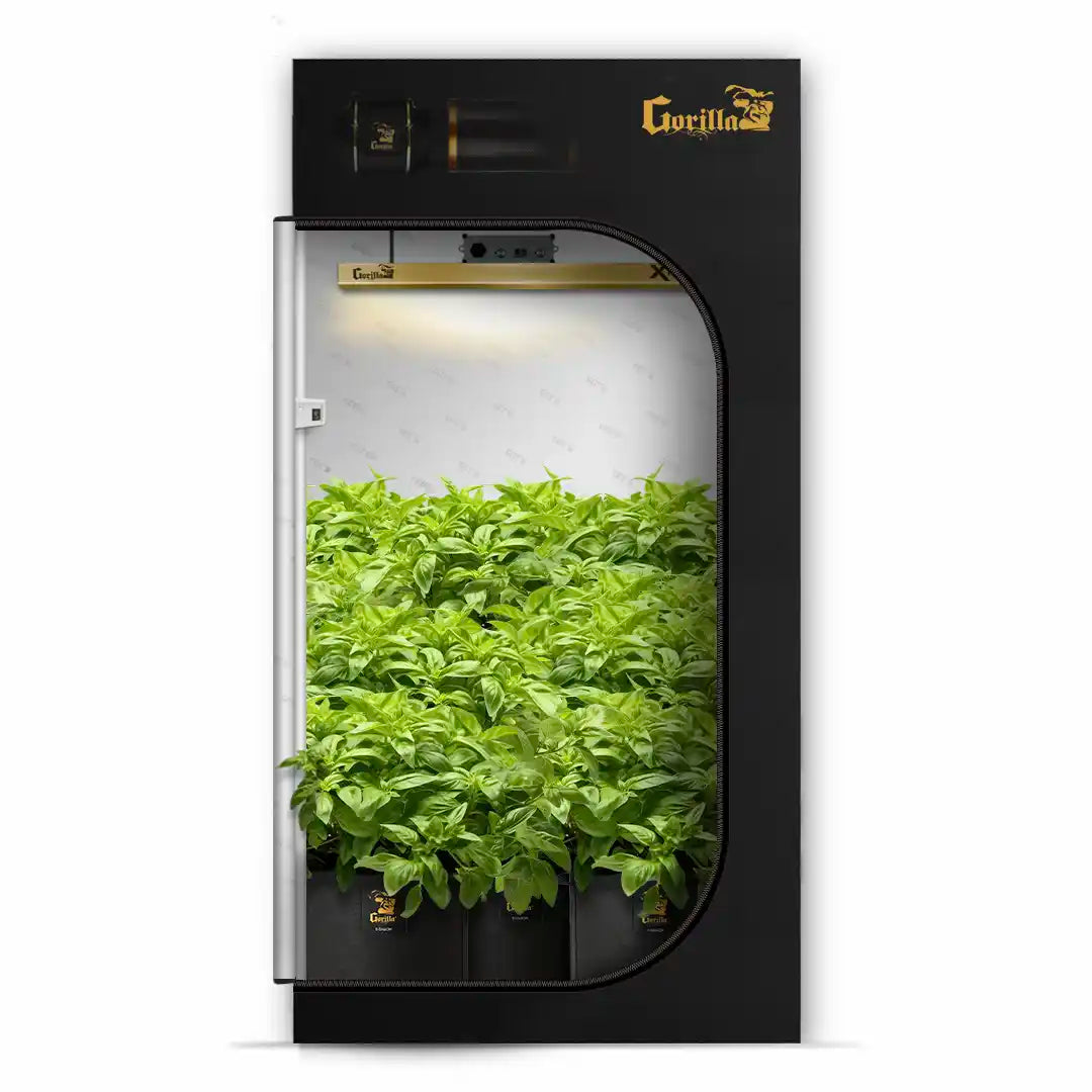 2x4 grow tent yield 2x4 Grow Tent Kit Reg