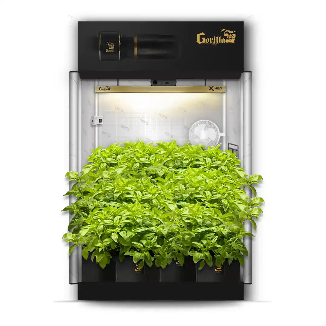 2x4 Grow Tent Kit - Soil up to 30% Sale