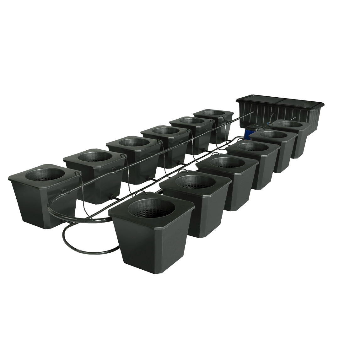 An organized Hydroponic Bucket System 12, showcasing individual plant sites with aerated water, ensuring optimal nutrient delivery and growth for thriving plants in a soilless environment.