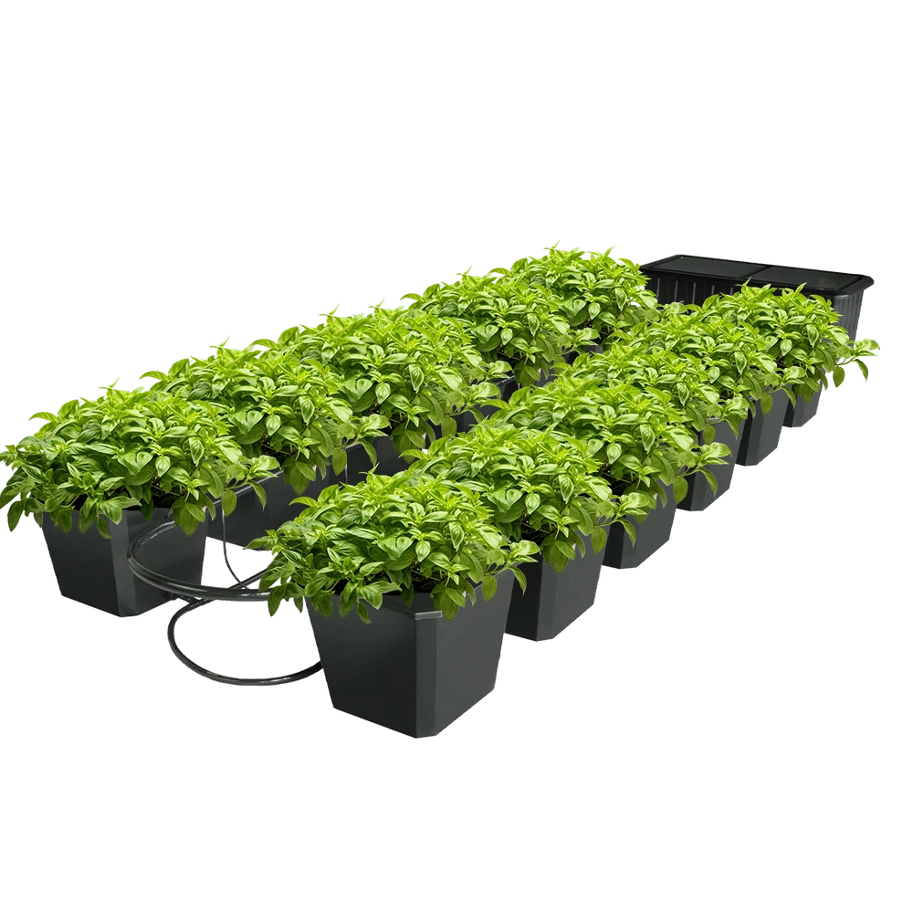 12 pot for plants Hydroponic Bucket System