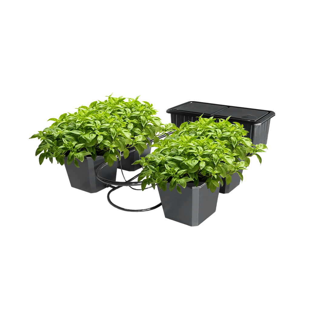 best 4 plant hydroponic system 4-Site Bubble Flow Buckets Hydroponic System