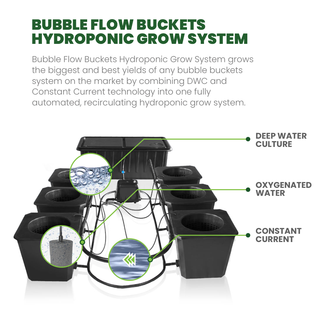 8-Site Bubble Flow Buckets Hydroponic System