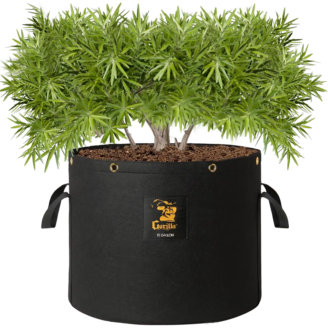 grow planter bags Gorilla 15 Gallon Grow Bags (4 Pack)