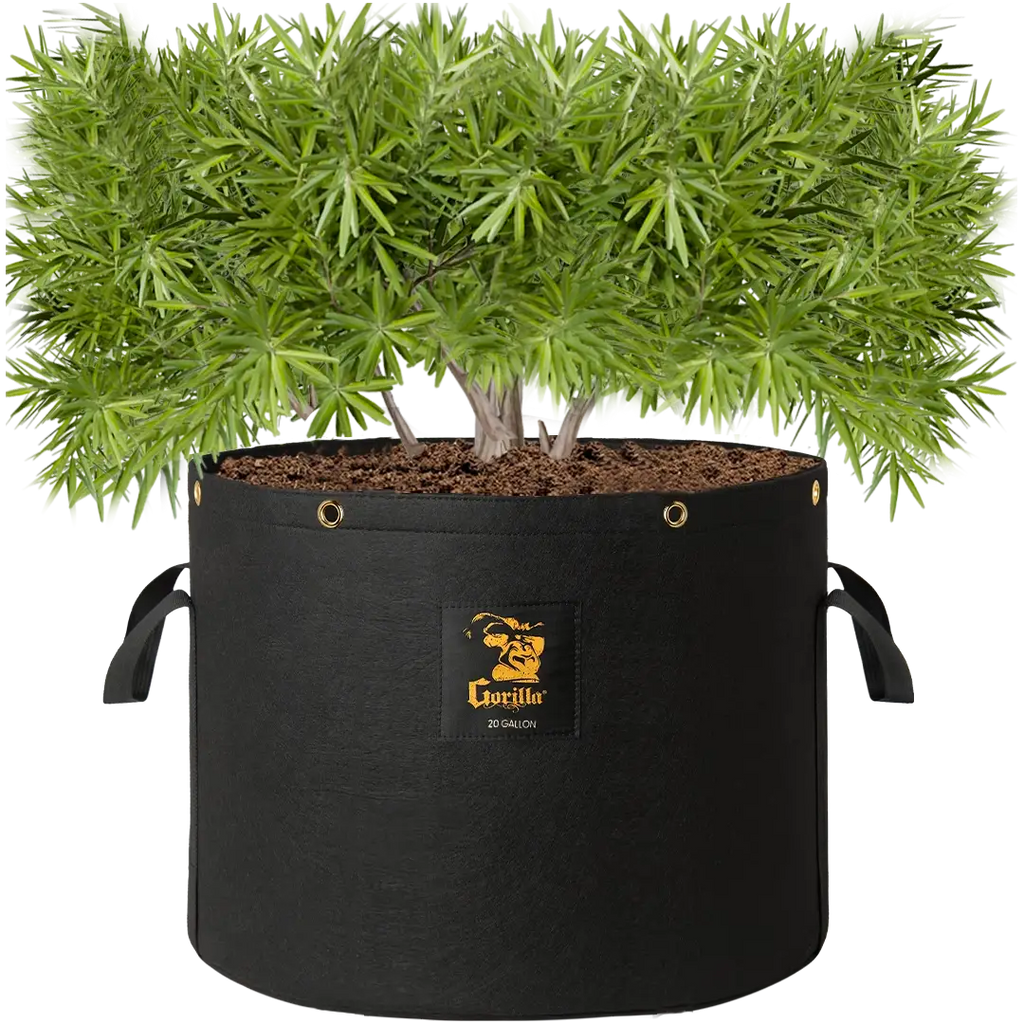 Gorilla 20 Gallon Grow Bags (4 Pack)