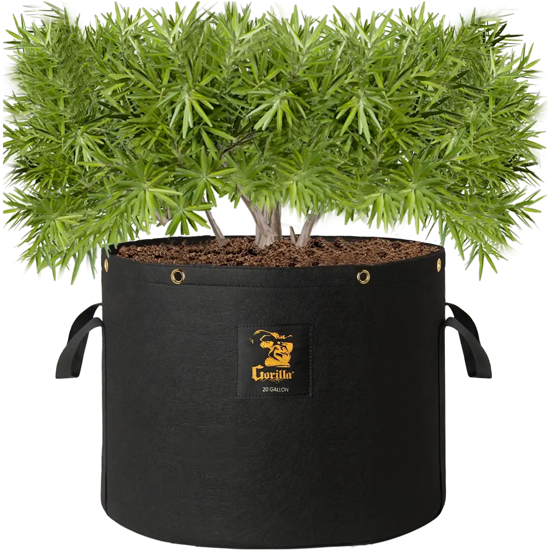 20 gallon pot plant Gorilla 20 Gallon Grow Bags (4 Pack)