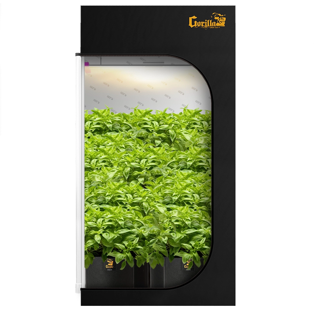 The All New Gorilla Grow Tent 2x4