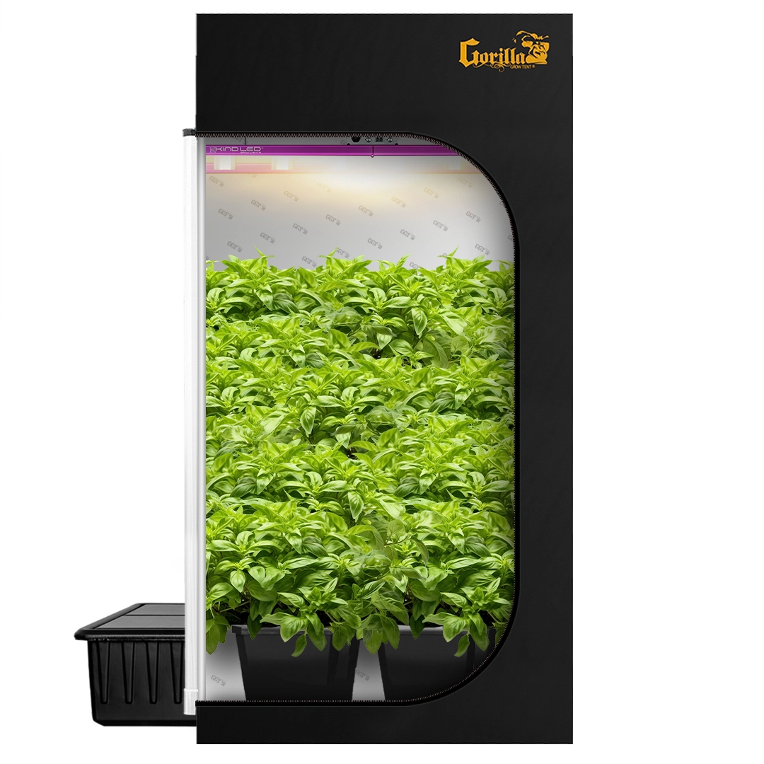 4x4 Grow Tent Kit Reg - Bubble Flow Buckets