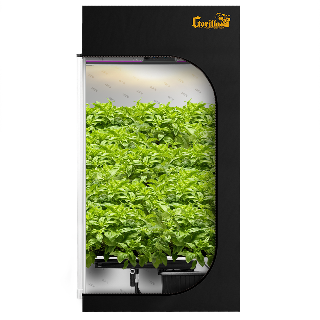 4x4 Grow Tent Kit Reg - Super Flow with X2 V2