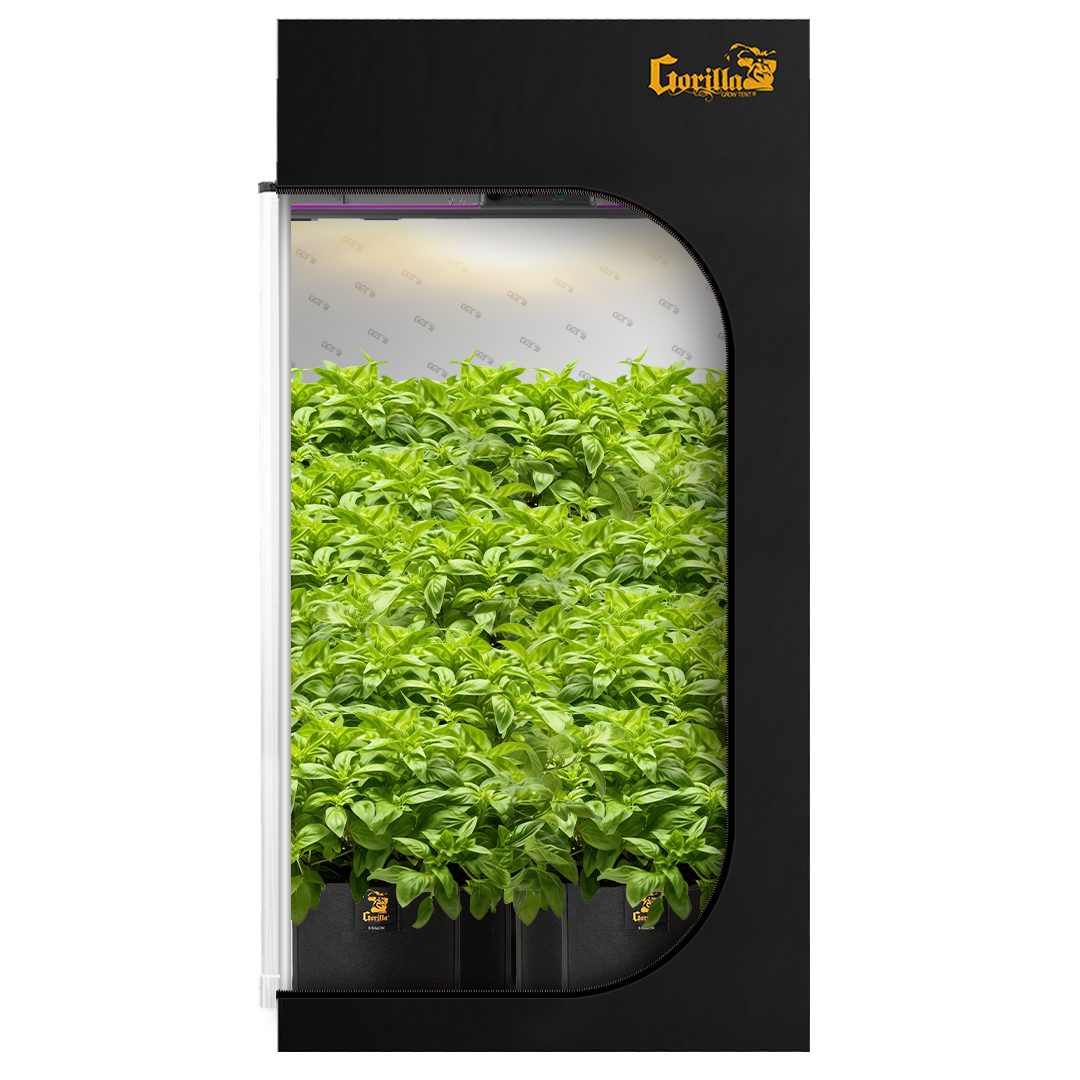 4x4 Grow Tent Kit Reg - Soil X2