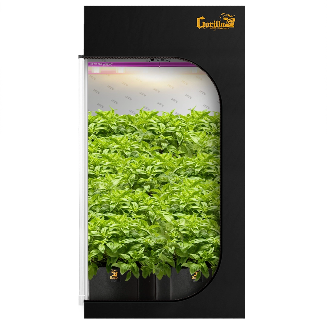 The All New Gorilla Grow Tent 4x4