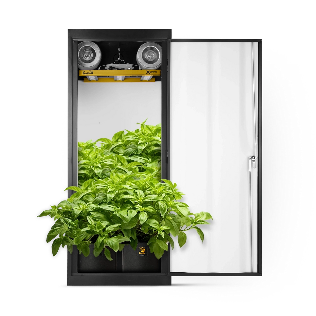 GXI-SC-24x24-Soil-Basil.webp?v