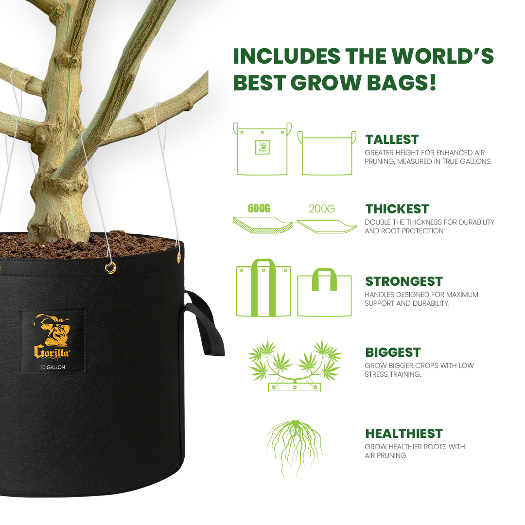 SuperBox Soil Grow Box 18” x 24” x 30”