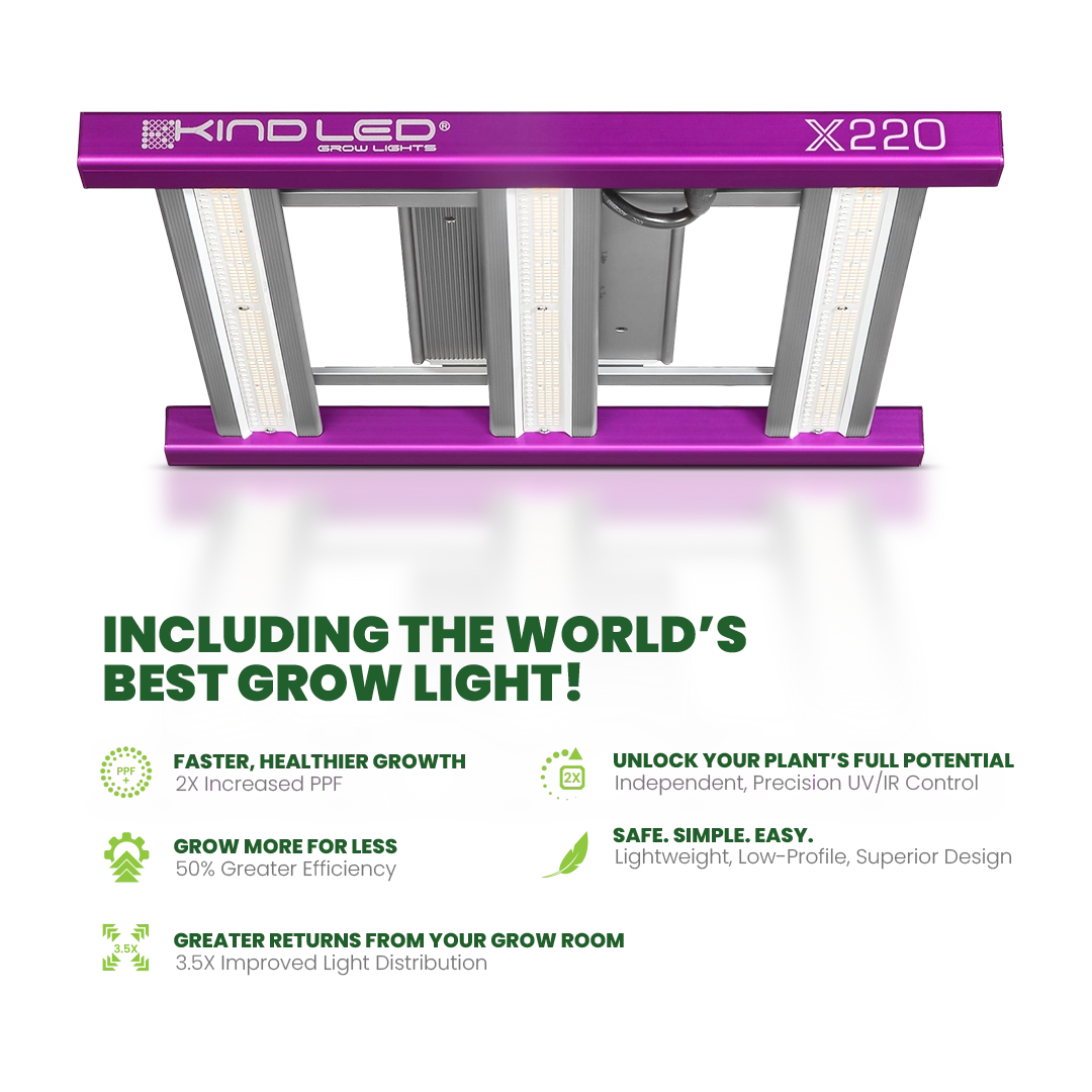 2x2.5 Grow Tent Kit Reg - Soil