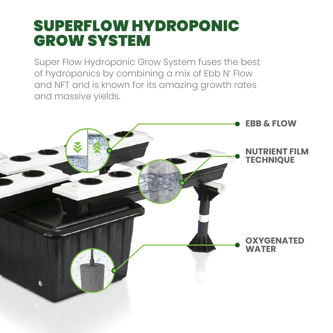 Experience the pinnacle of modern agriculture with the hydroponic bucket system. Harnessing the power of water and nutrients, it sets the stage for remarkable plant growth without the need for soil. 