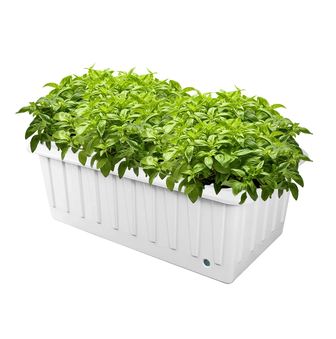 SuperPonics XL12 Hydroponic System