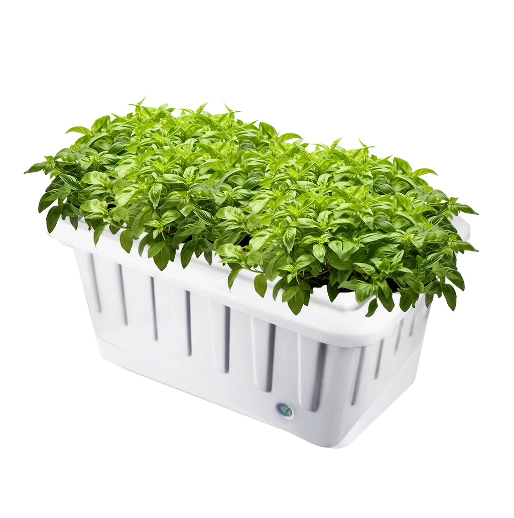 small indoor plant growing systems Hydroponic System Grow System