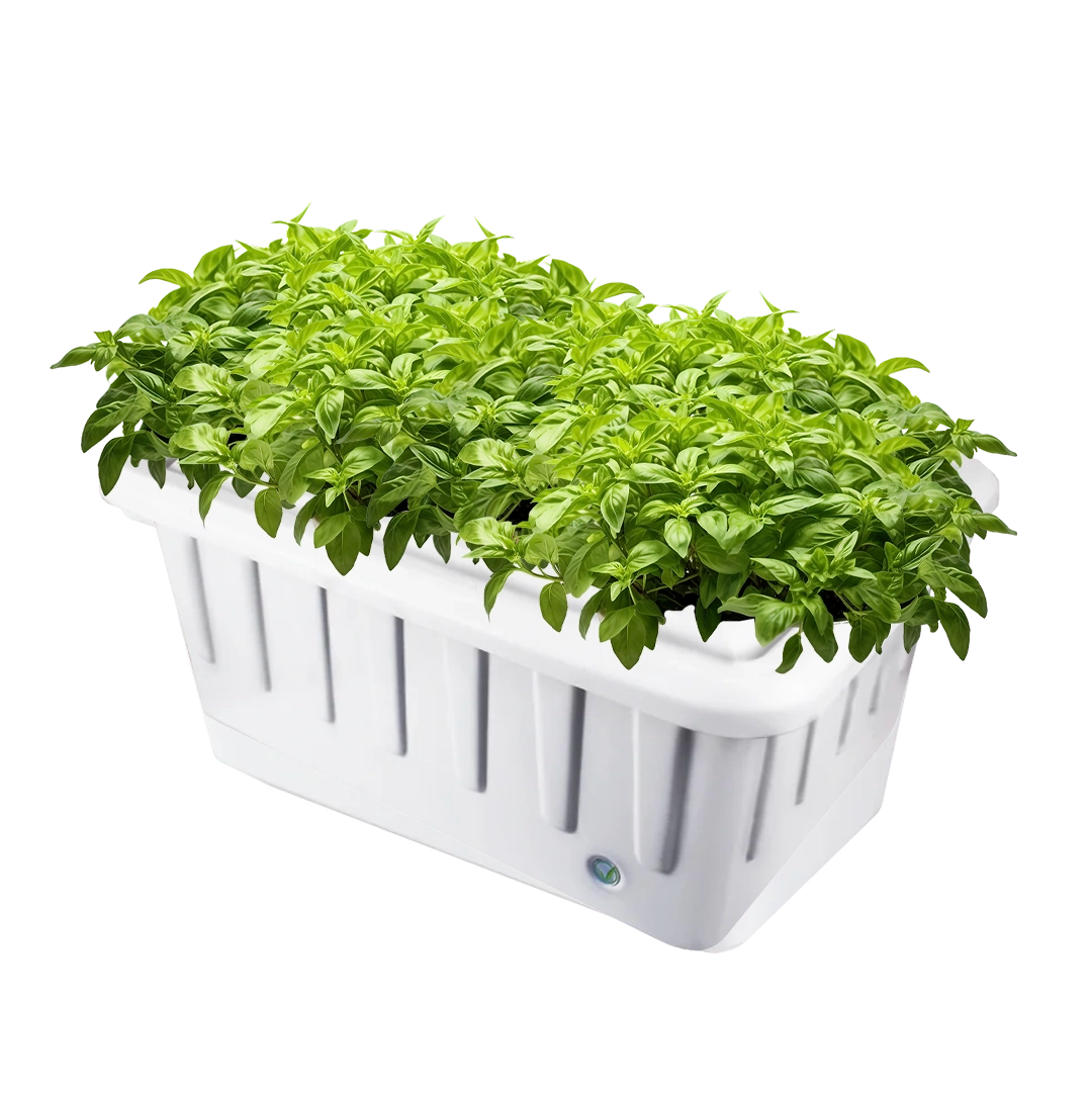 Hydroponic System Grow System - SuperPonics