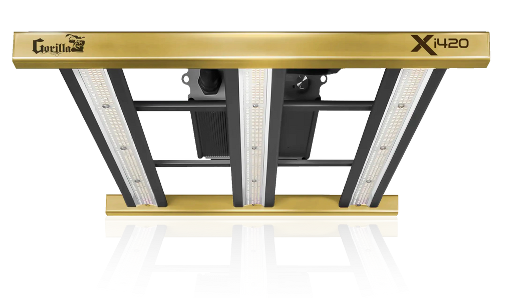 Xi420.webp?v=1748468798&width=1024