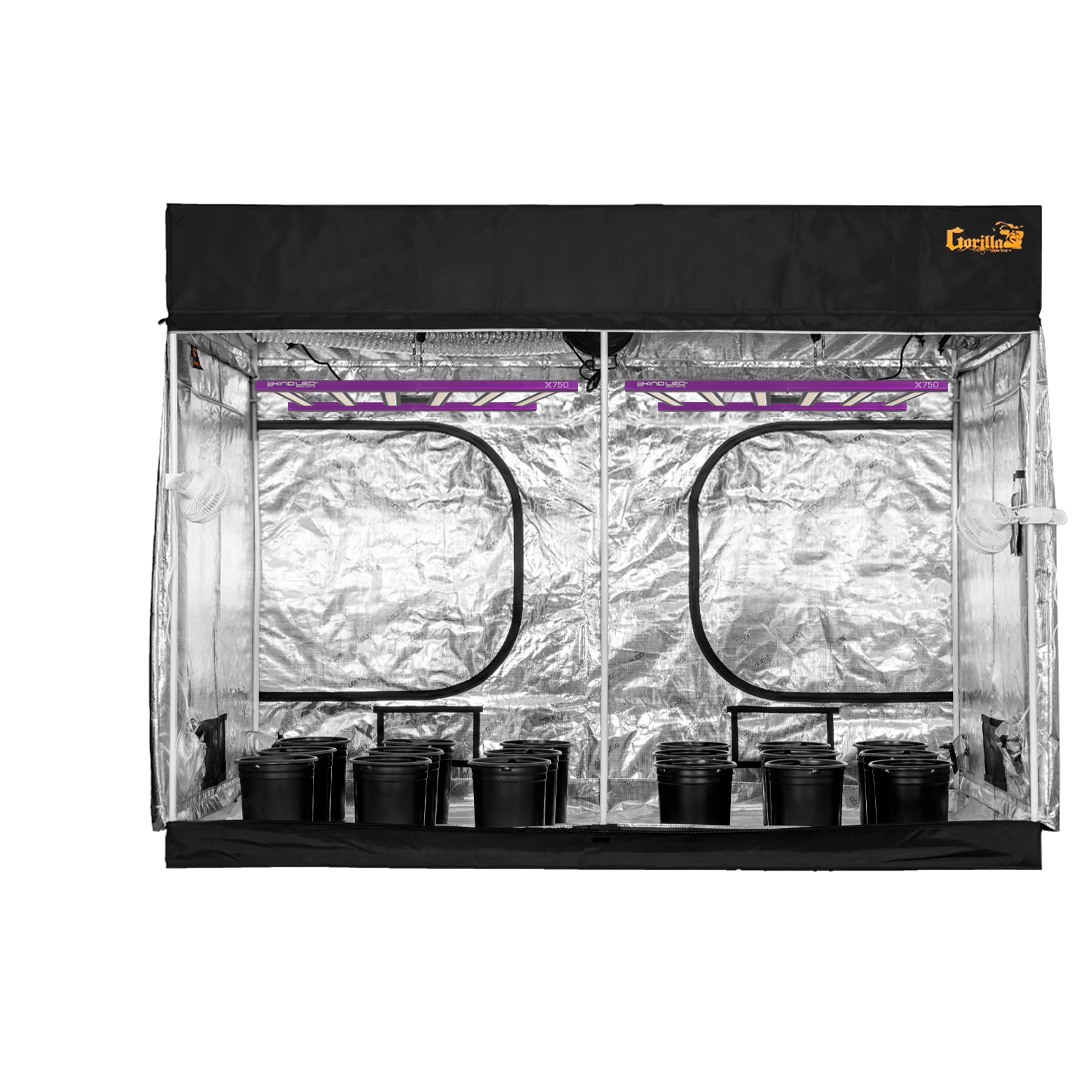 A spacious Large Grow Tent Kit setup, fully equipped with lighting, ventilation, and shelving, ready to accommodate a multitude of plants for optimal indoor cultivation.